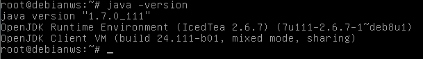 jdk-version-debian