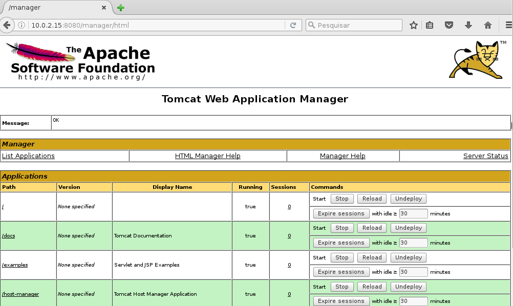 pagina-administracao-tomcat7
